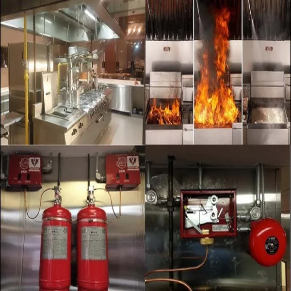 Ceasefire Fire Suppression System For Extraction Hoods