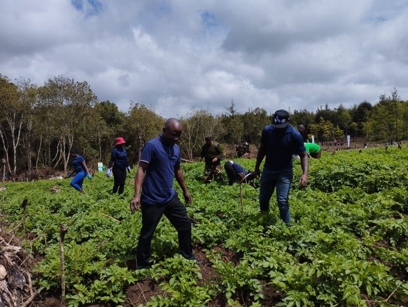 Tree Planting 2023 Kimende